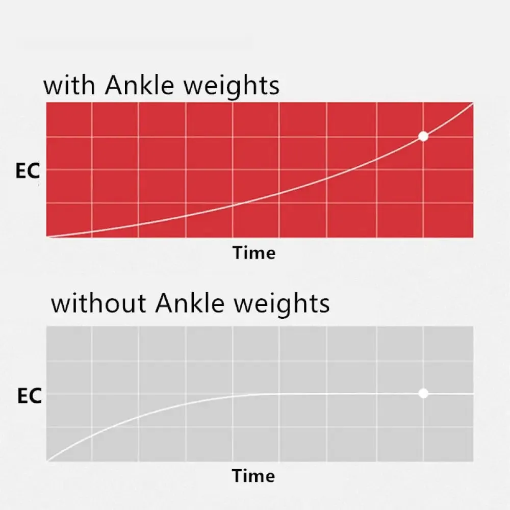 1 Pair Adjustable Ankle Weights Brace Strap with Weight Block