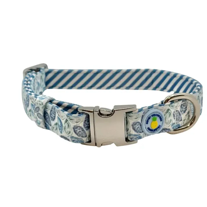 DOG COLLAR/ LEASHES