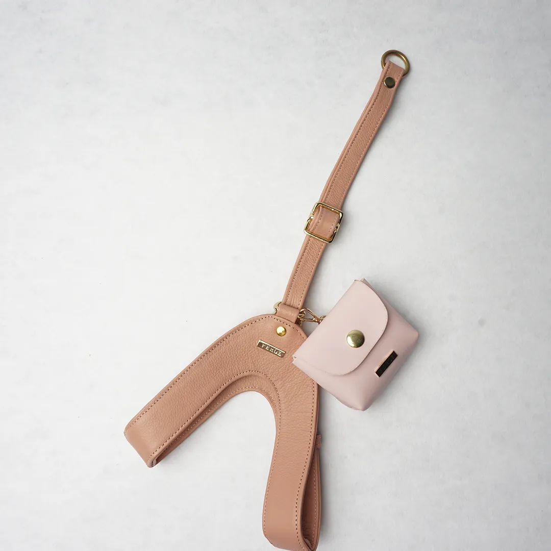 Dusty Rose Leather Mania Set