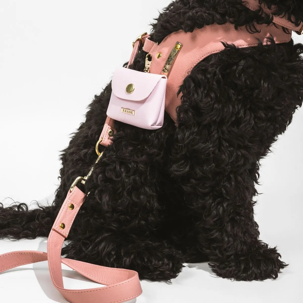 Dusty Rose Leather Mania Set