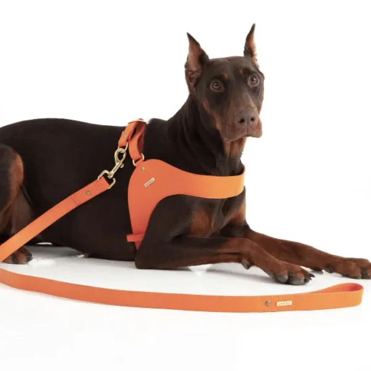 Orange Leather Mania Set