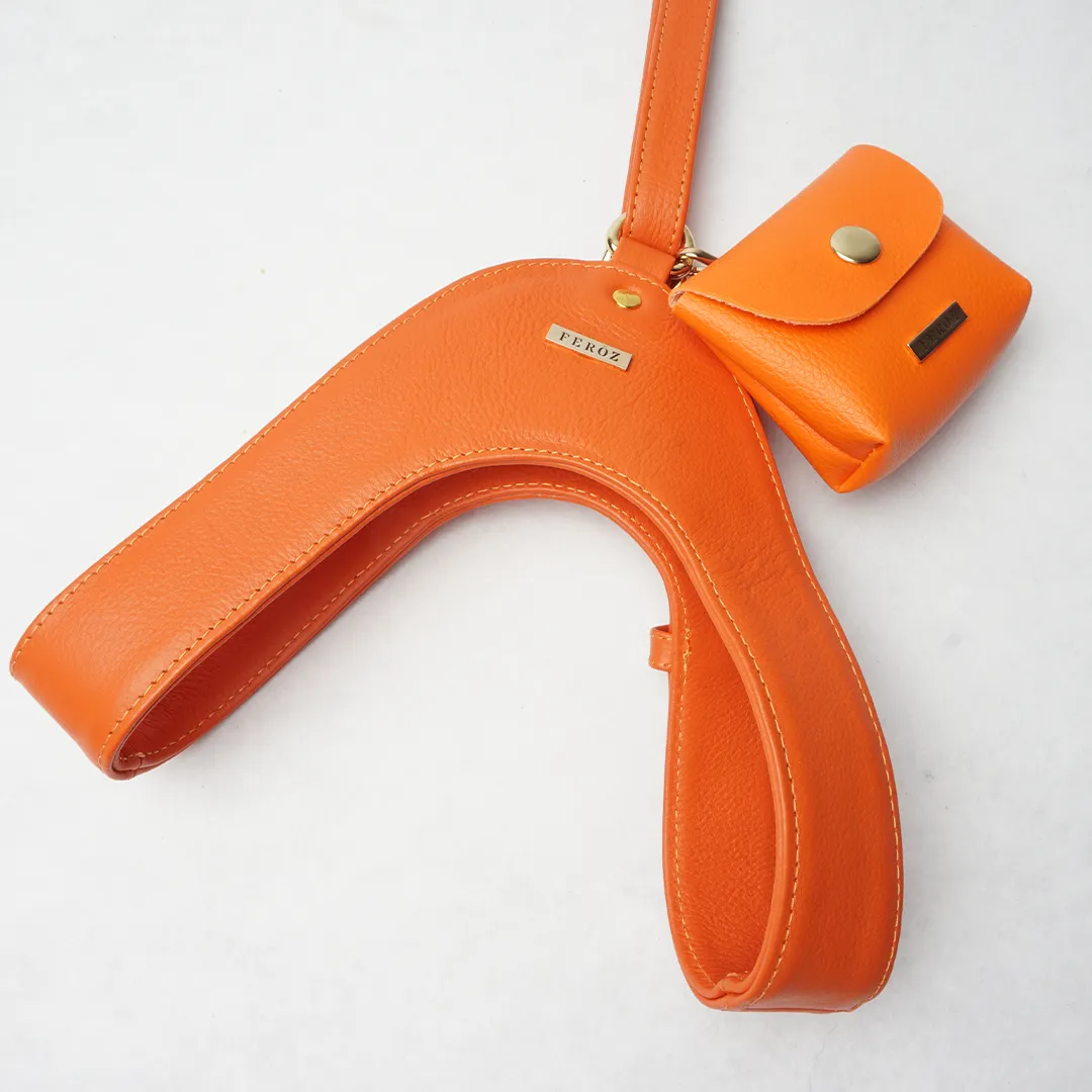 Orange Leather Mania Set
