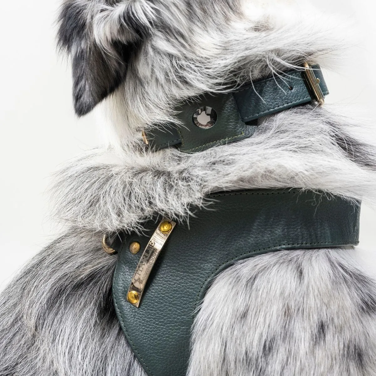 Pine Green Leather Mania Set