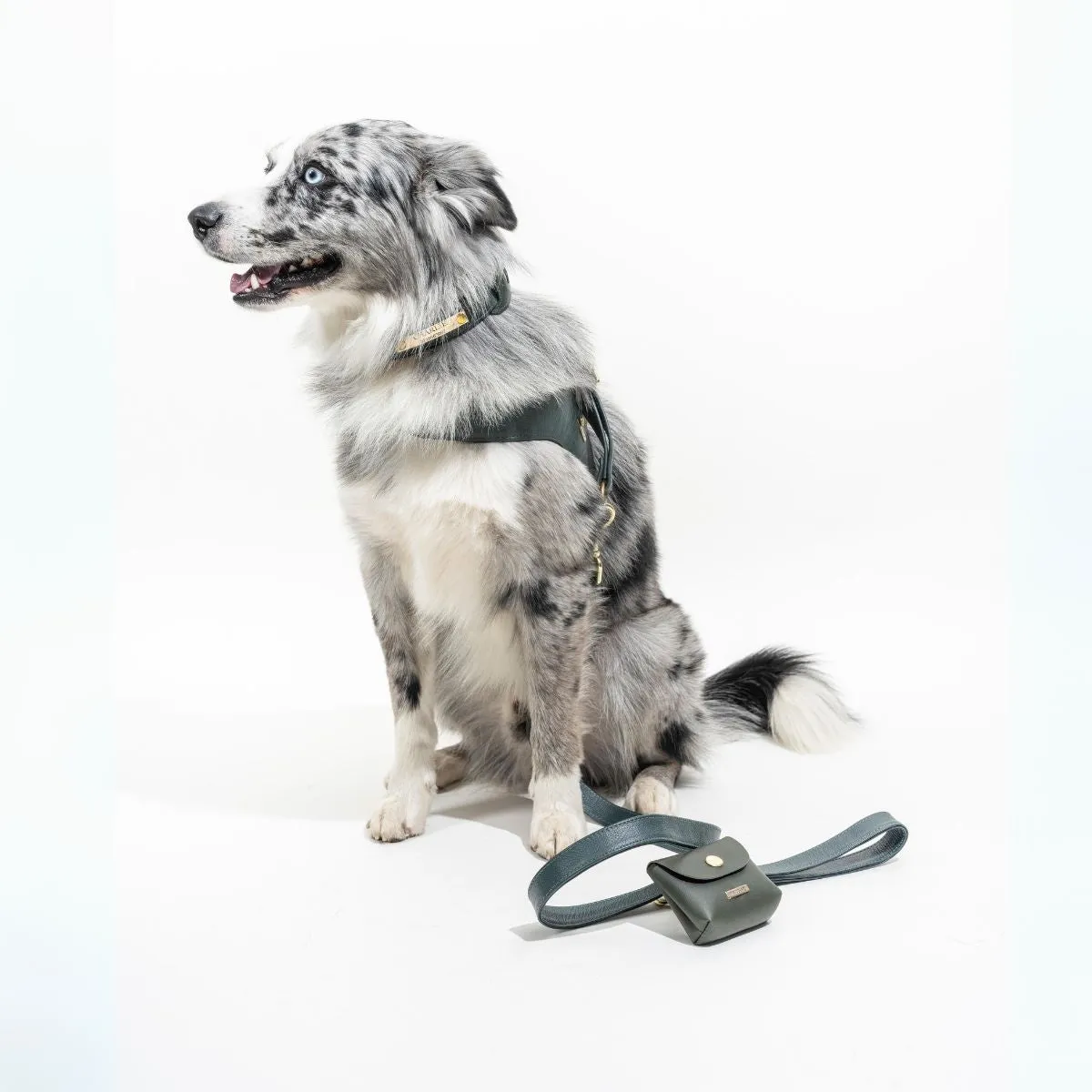 Pine Green Leather Mania Set