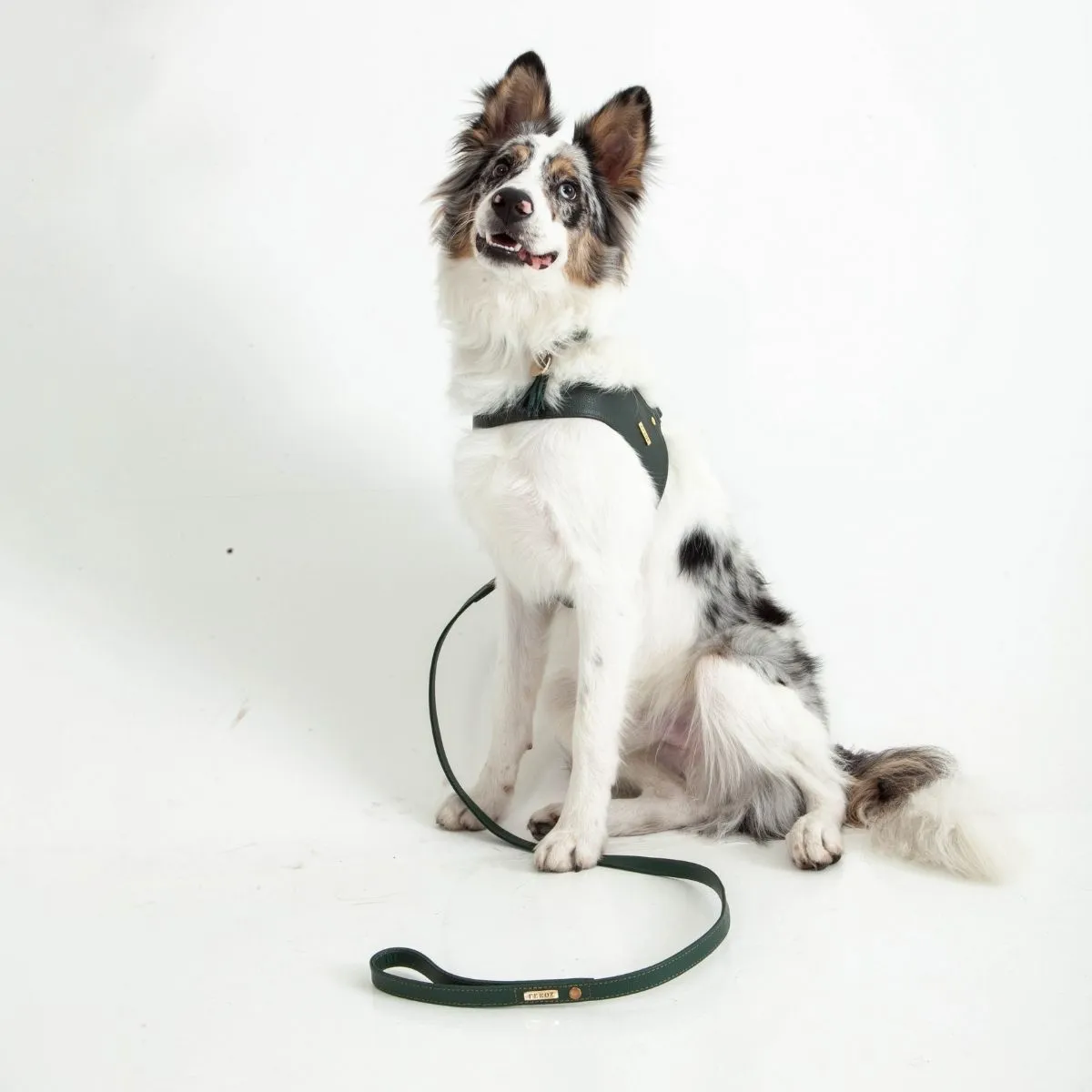 Pine Green Leather Mania Set