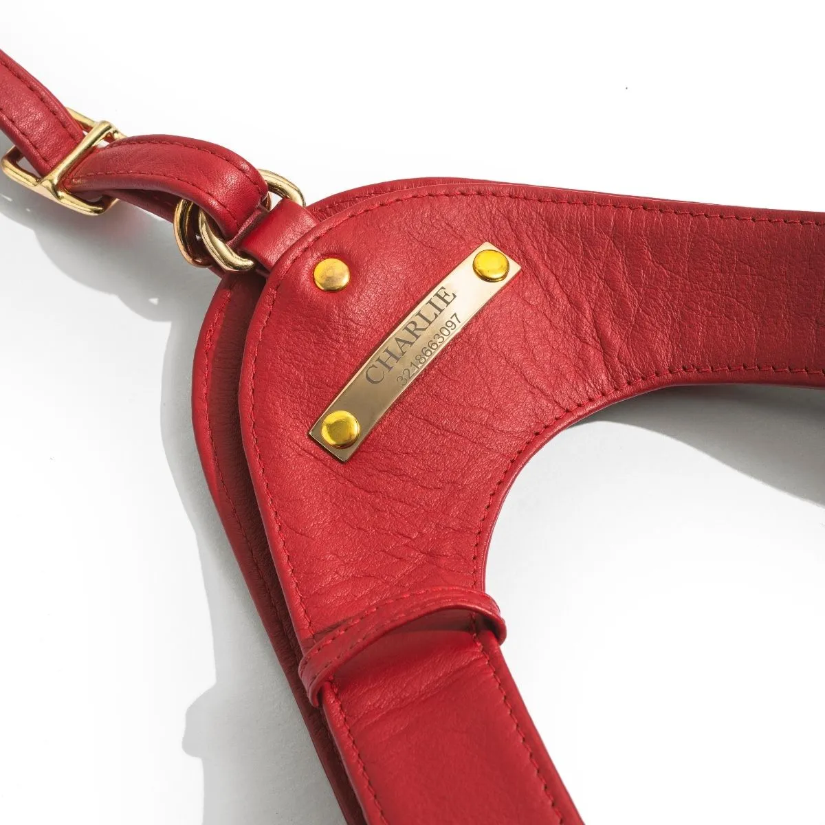 Scarlet Red Leather Mania Set