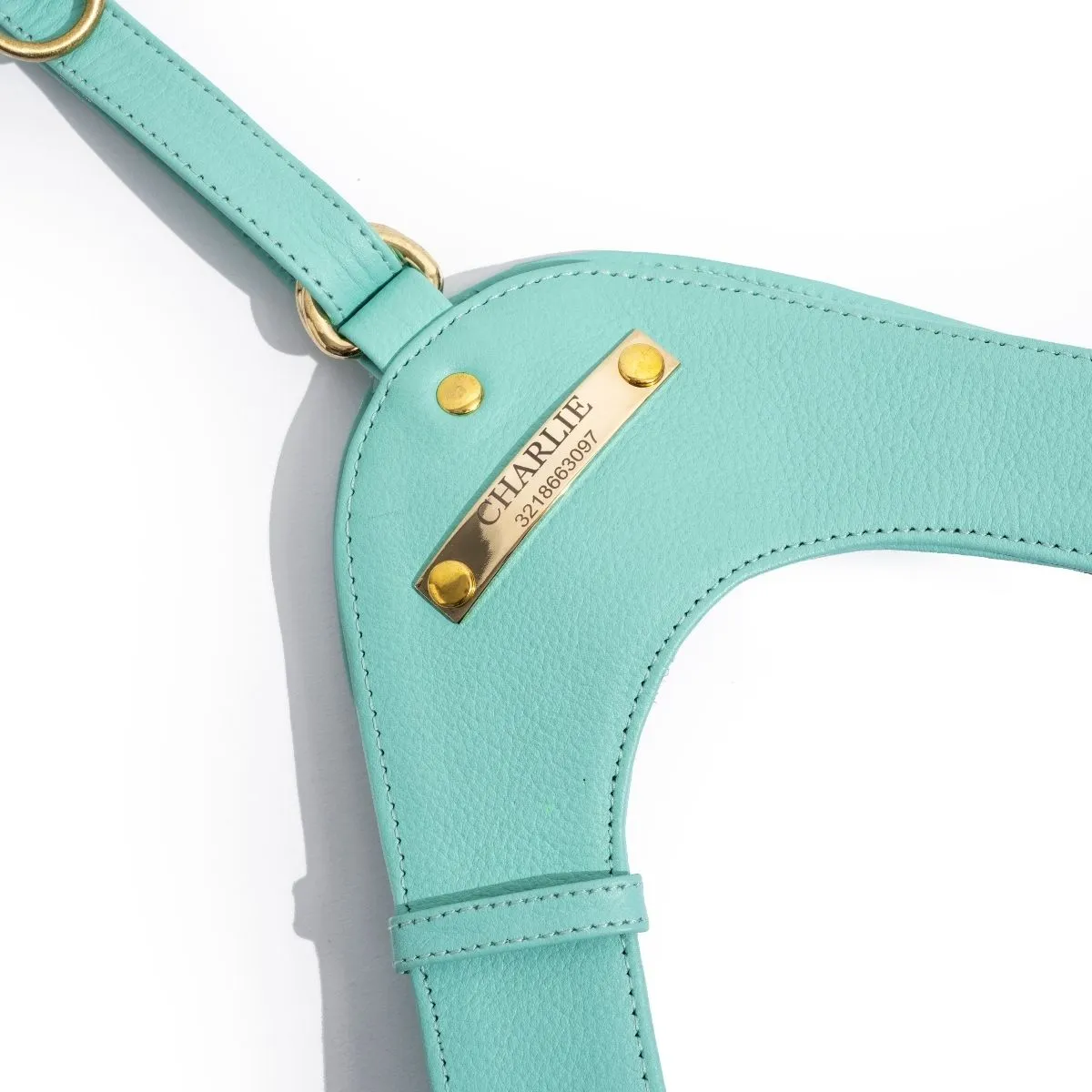 Turquoise Leather Mania Set