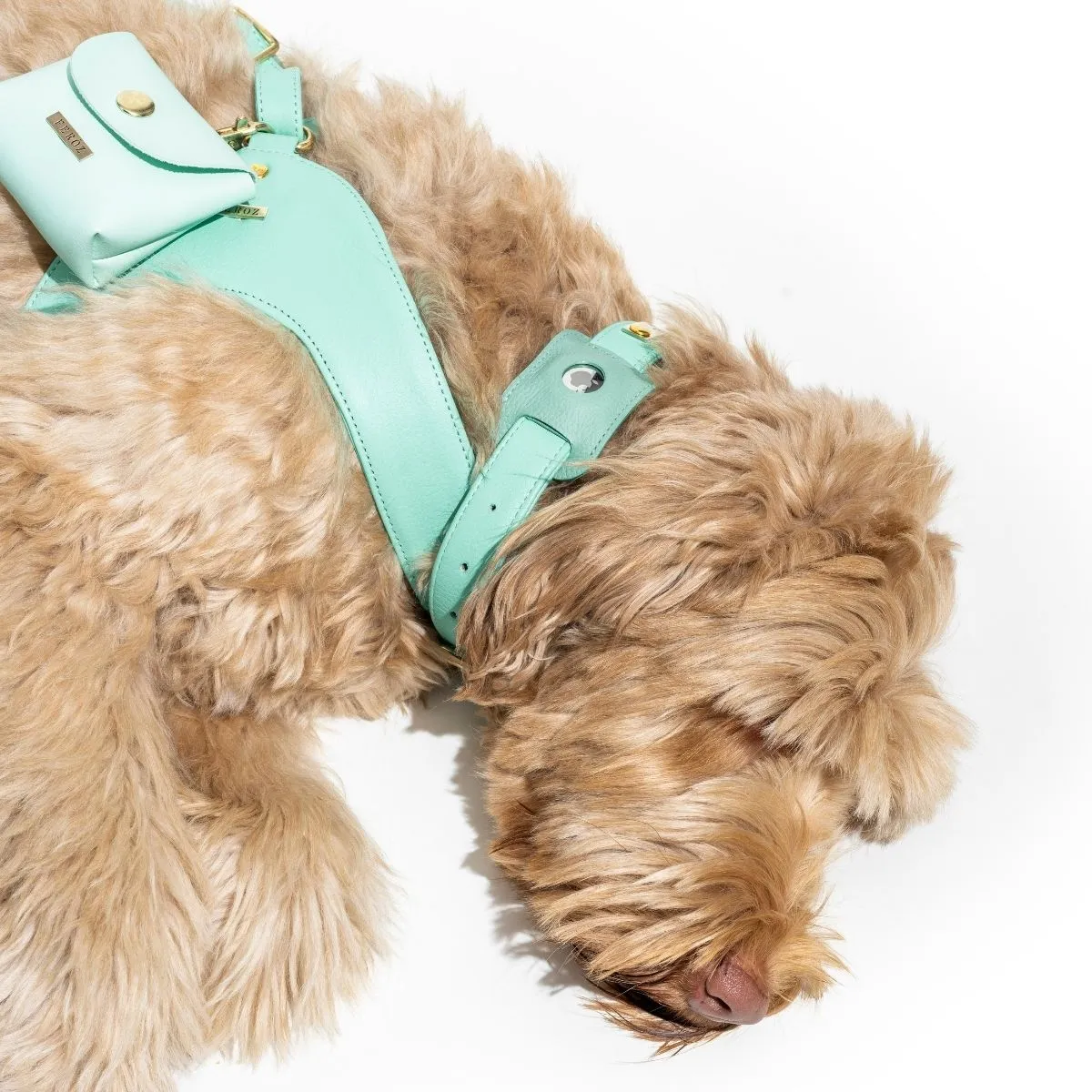 Turquoise Leather Mania Set