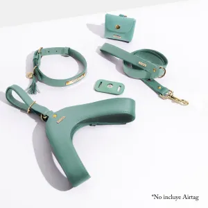 Turquoise Leather Mania Set