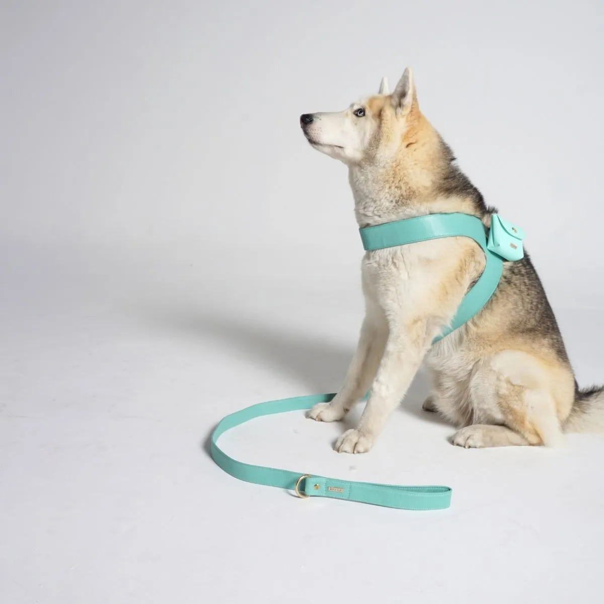 Turquoise Leather Mania Set