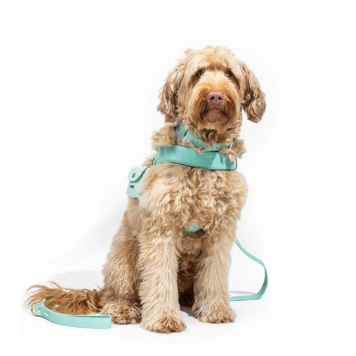 Turquoise Leather Mania Set